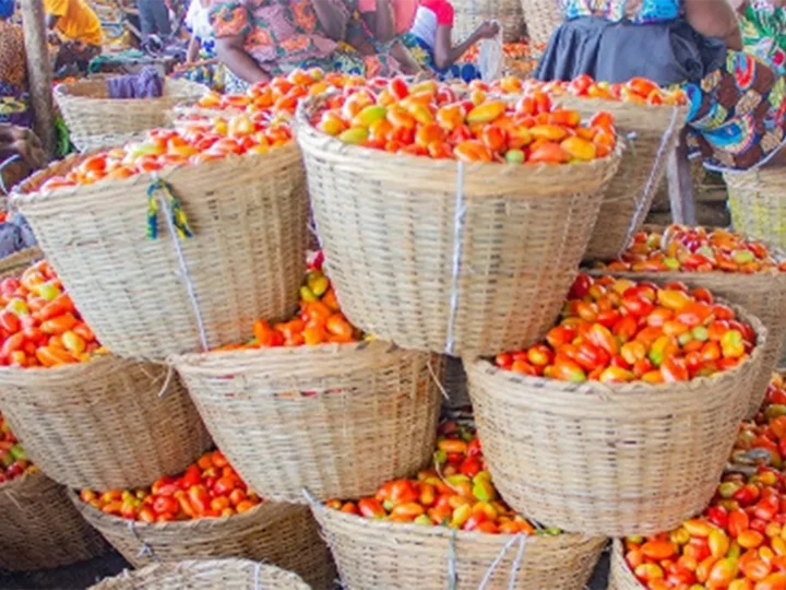 Denrées de grande consommation: Les prix de la tomate fraîche en baisse dans les marchés